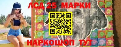 PSILOCYBIN Гатчина