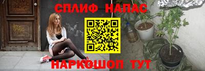 PSILOCYBIN Гатчина