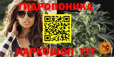 Альфа ПВП Гагарин