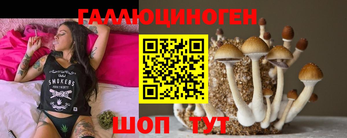 Галлюциногенные грибы мицелий Малоярославец
