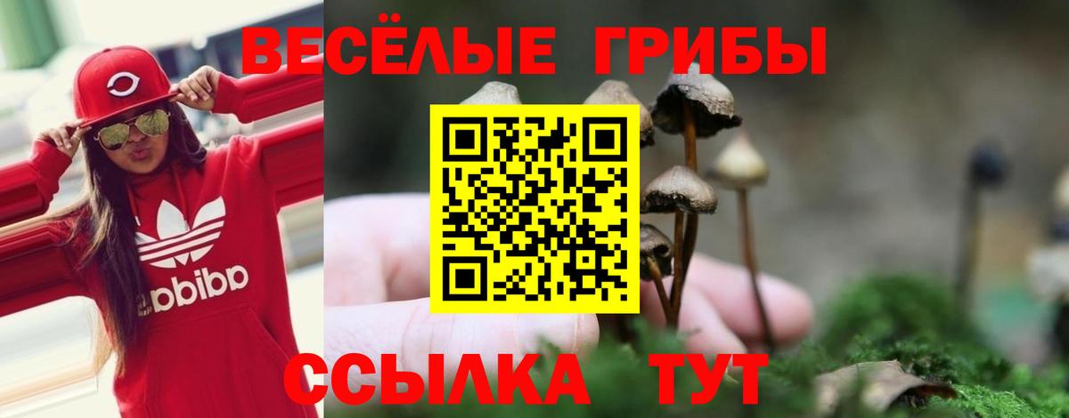 купить наркотик  Галлюциногенные грибы MAGIC MUSHROOMS  Вход с VPN  Малоярославец  Псилоцибиновые грибы Psilocybe 